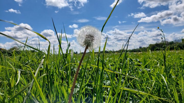 Wszystko się Wydaje