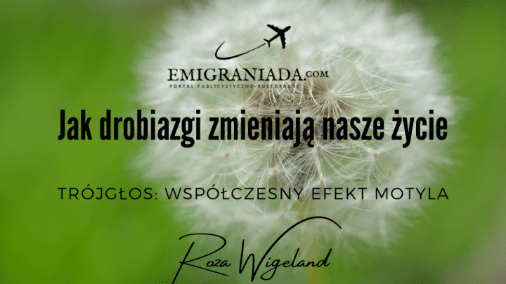 Jak drobiazgi zmieniają nasze życie