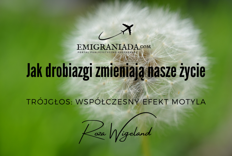 Jak drobiazgi zmieniają nasze życie